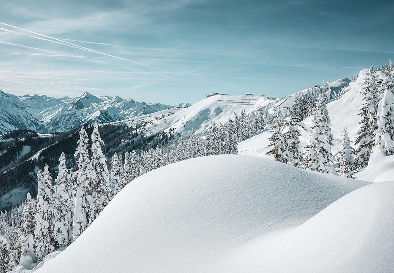 Apartment in Kaprun - Landhaus Lodges Kaprun - Thomas