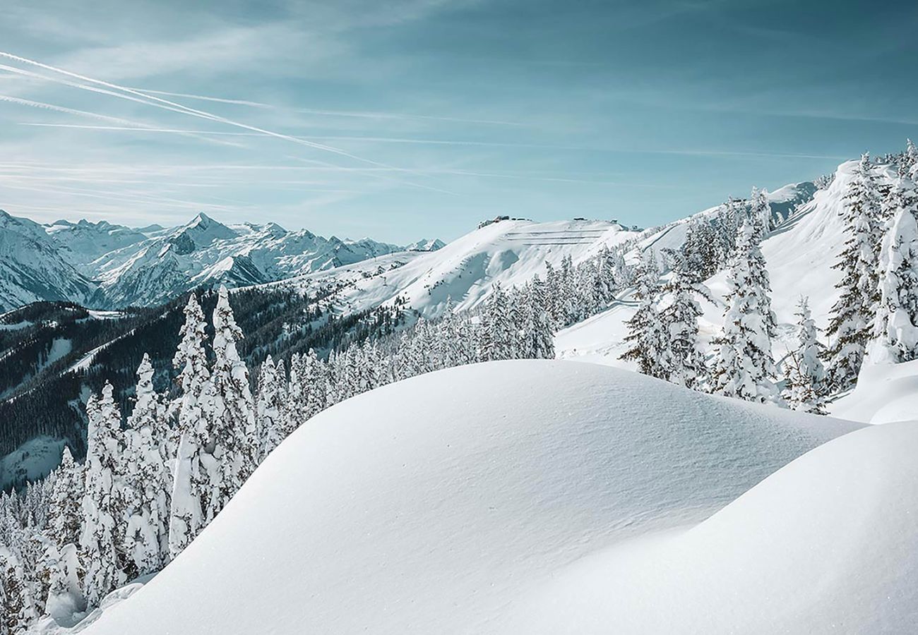 Apartment in Kaprun - Landhaus Lodges Kaprun - Johann