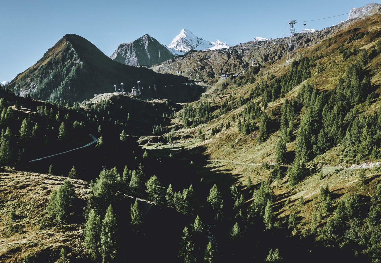 Ferienwohnung in Kaprun - Tauern Relax Lodges - Penthouse